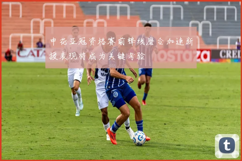 申花亚冠资格赛前锋线磨合加速新援表现将成为关键考验