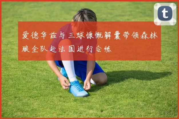爱德华兹与三球慷慨解囊带领森林狼全队赴法国进行合练